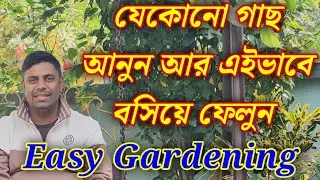গাছ আনব আর সঙ্গে সঙ্গে কিভাবে বসাবো ? সহজ উপায়ে জেনে নিন 🌿