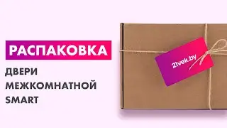 Распаковка &mdash; Дверь межкомнатная SMART Норд 80x200