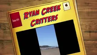 Ryan Creek Farm Critters #14 Osprey, Ship Wreck, Waterfalls, Game Camera