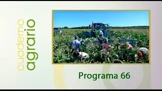 Cuaderno Agrario PGM 66
