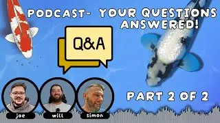 Your Koi Pond Questions - ANSWERED - Part 2 of 2