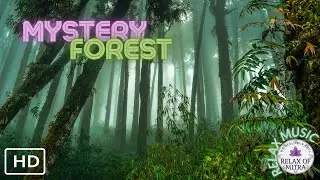 Mystery Forest Dark, Mystical Forest Nature Sounds and Music with Flute, Lute, Choir and Percussion