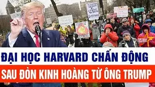 Tin thế giới: Đại học Harvard chấn động sau đòn kinh hoàng từ ông Trump