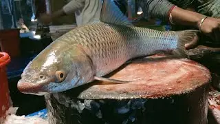 Hm Abu Hanif fish cutting channel আলহামদুলিল্লাহ  is live!