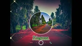 | Tag Your ,💞 | Pro Camera | #photography #pixel #trending #ringtone #love 