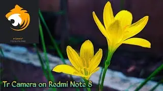 Redmi Note 8 | Tr Camera