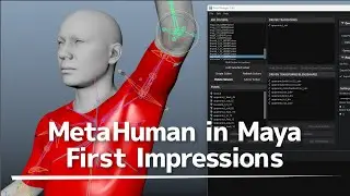 Maya｜MetaHumanのリグ構造の解説＆雑談