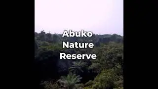 Abuko Nature Reserve