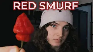 КРАСНЫЙ ПЕРЕЦ СМУРФ ИЗ ОБЗОРА OJOS ROJOS POD
