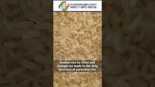 With FCI Buffer Growing, Exporters Call For Lifting Rice Export Restrictions