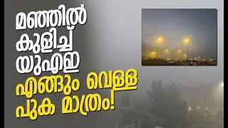24 വരെ അതീവ ജാഗ്രതാ നിര്&zwj;ദ്ദേശം | Fog in UAE | Weather Update | Winter | Kalakaumudi Online