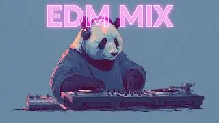 🎧 Bass Boosted EDM 2025 – Remix Festival & Club Energy 🎧