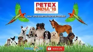 LIVE | PETEX India'18