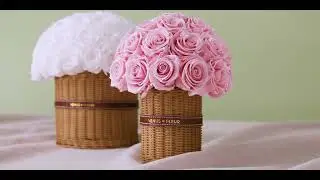 Modern Heirloom Collection | Venus et Fleur