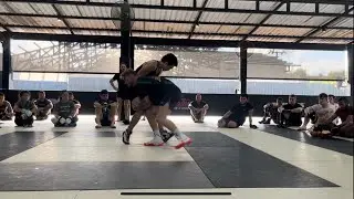 Frank Hickman showing incredible MMA wrestling defense! #mma #ufc #wrestling