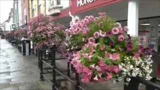 Denbigh in bloom - GOLD winner