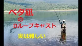 【Fly casting】無風のⅮループキャストはむずかしい【湖のツーハンドキャスト】