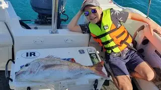Straylining for the biggest snapper I've ever caught! Wellington, New Zealand Fishing.