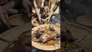 Hadzabe Tribe Traditional Sago Rat Cooking and Eating in the Wild