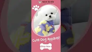 Super Cute Dog Clothes | Softosy Pet Boutique
