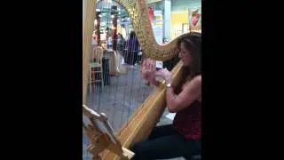 Harp Performance at Park Place Salute to 9-11 Event