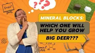 Which mineral is best for Deer