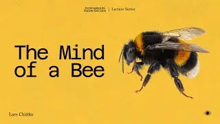 The Mind of a Bee with Lars Chittka