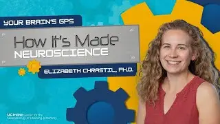 Your Brain&rsquo;s GPS | How It's Made Neuroscience | Elizabeth Chrastil, PhD