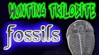 Trilobite Hunting | Funny Blooper #Shorts
