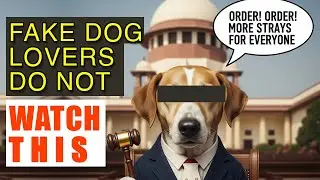 Stray Dogs Issue in Delhi 😲 | Rabies, Supreme Court & Dog Lovers