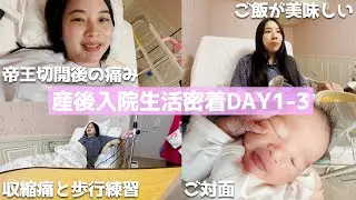 リアルな出産後入院生活を6日間密着【 2度目の帝王切開・後陣痛・授乳・赤ちゃんと対面】