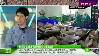 Descubre los tipos de setas m&aacute;s peligrosos que hay en Espa&ntilde;a
