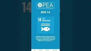 United Nations - Sustainable Development Goal 14