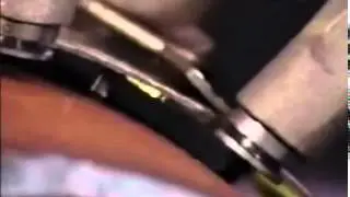 MonarchBand