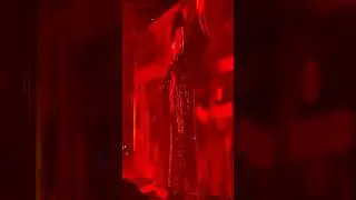The Weeknd Invites Playboi Carti On Stage to Perform 