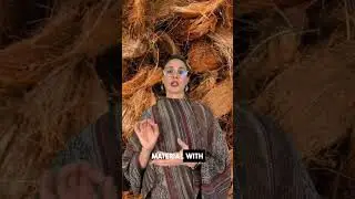 Кокосовое волокно | Устойчивые материалы 101