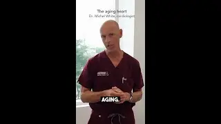 The Aging Heart
