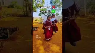 Butterfly Butterfly Funny | #funnyvideo #funnyshorts #youtubeshorts #memes #viral #share #like