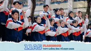 11A5  / FLASHMOB THPT GIỒNG ÔNG TỐ 2024-2025
