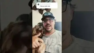 Dog has diabetes and went blind
