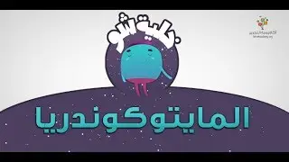 المايتوكوندريا | التركيب الدقيق للخلية | علوم الاحياء اولي ثانوي