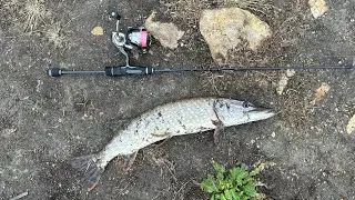 🔆ТРОФЕЙ🐊НА УЛЬТРАЛАЙТ🎣ЛОВЛЯ ЩУКИ НА МИКРОДЖИГ🤏ТЕСТ СПИННИНГА Tailwalk Ajist SSD 604🔥