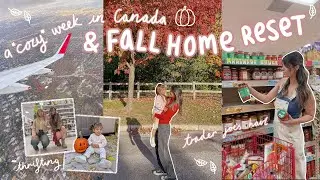 a week in CANADA 🇨🇦 post trip reset, trader joes run & fridge organization
