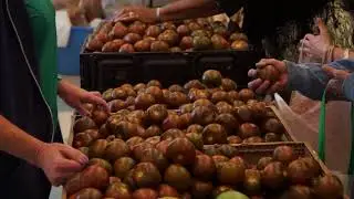 Meet a few New Mexicans facing hunger - Fall 2017
