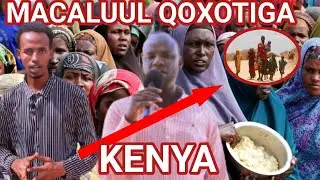 Xeeryaha Qoxotiiga Dadaab ee Dalka Kenya oo  Wajahay Xalad Adag iyo cunno la'aan soo foot saartay.