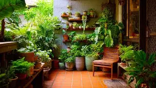 Small Garden Design Ideas | Transform Tiny Spaces into Stunning Green Retreats