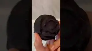 Black Rose Bath Bomb #Lush #Shorts