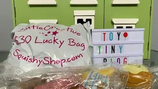 Semi-Rare Squishy Shop Lucky Bag + $30 Cutie Creative Lucky Bag | Toy Tiny