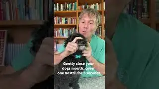 How to stop reverse sneezing in one simple step