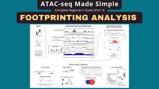 ATAC-seq Footprinting: Detect TF Binding Sites with TOBIAS Tutorial